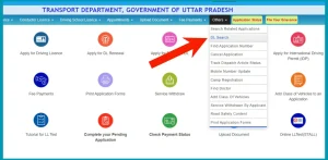 Driving licence status check by Name
