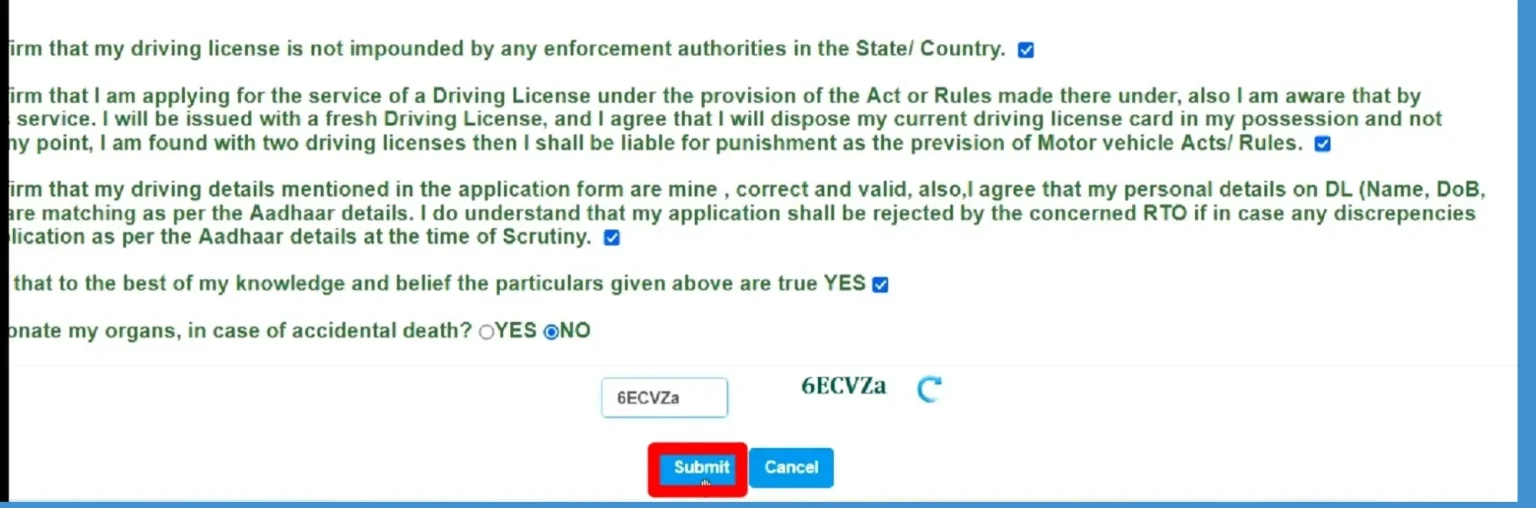 driving licence renewal